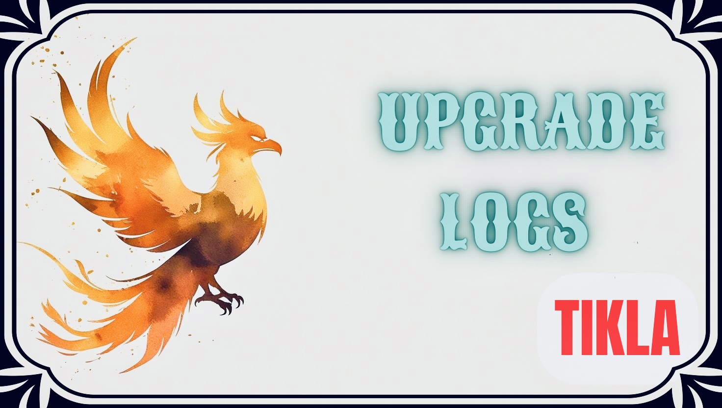 Upgrade Logs